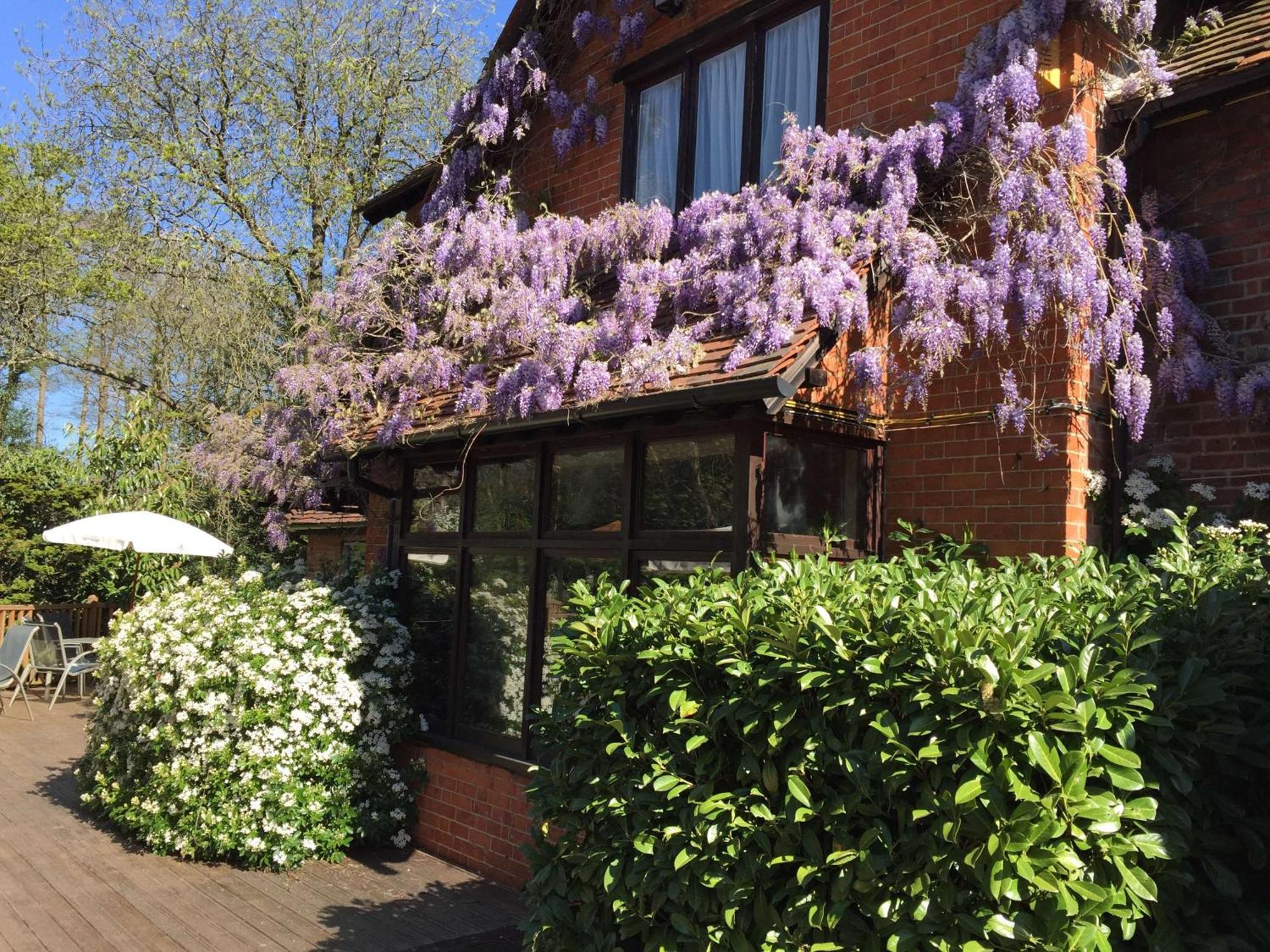 The Casa Hotel, Sure Hotel Collection By Best Western Yateley Eksteriør billede